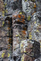 Framed Sheepeater Cliffs Detail, Yellowstone National Park