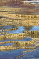 Framed Mineral Deposit Formation, Yellowstone National Park