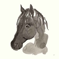 Framed Horse Portrait II