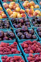 Framed Cherries and Berries