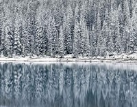 Framed Winter Reflections