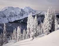 Framed Cariboo Mountains