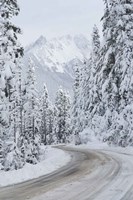 Framed Mount Baker Highway II