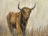 Framed Highland Mountain Cow