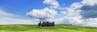 Framed Cypresses, Val d'Orcia, Tuscany