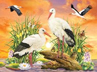 Framed Storks