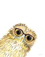 Framed 'Owl in Glasses' border=