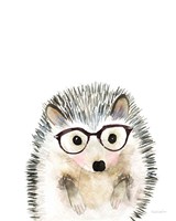 Framed Hedgehog in Glasses