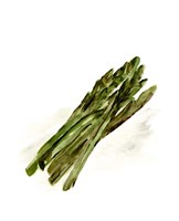 Framed Veggie Sketch plain I-Asparagus
