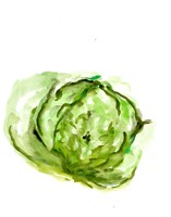Framed Veggie Sketch plain IX-Lettuce