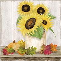 Framed 'Fall Sunflowers I' border=