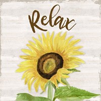 Framed 'Fall Sunflower Sentiment III-Relax' border=