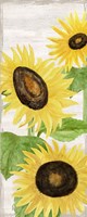 Framed Fall Sunflowers panel II