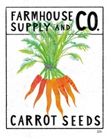 Framed Kitchen Garden Seed Packet IV