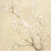 Framed White Cherry Blossoms I Linen Crop
