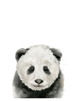 Framed Baby Panda