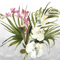 Framed 'Beautiful Orchids A' border=