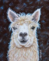 Framed Alpaca