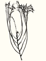Framed Naive Flower Sketch I
