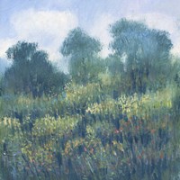 Framed Meadow Wildflowers II