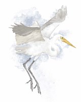 Framed Coastal Heron II