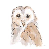 Framed Barn Owl II