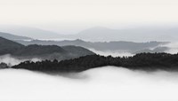 Framed Rolling Fog, Smoky Mountains No. 2