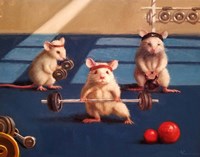 Framed Gym Rats