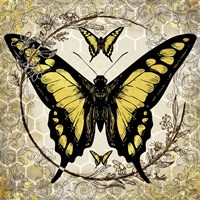 Framed 'Honey Bee Butterfly 4' border=