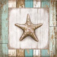 Framed Starfish on Beach