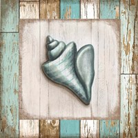 Framed Turquoise Seashell