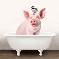 Framed Pig in Bathtub