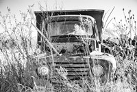 Framed Truck in Wildflower Field
