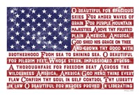 Framed America the Beautiful Flag