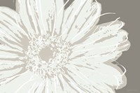 Framed Flower Pop Sketch III-Greys