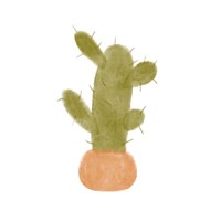 Framed 'Watercolor Cactus IV' border=