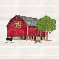 Framed Spring & Summer Barn Quilt III