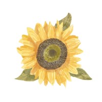 Framed 'Single Sunflower I' border=