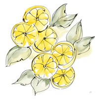 Framed Cut Lemons II