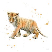 Framed Tiger Cub