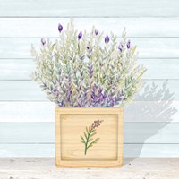 Framed 'Lavender and Wood Square III' border=