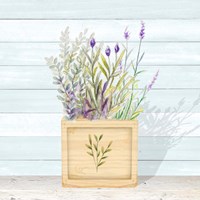 Framed 'Lavender and Wood Square IV' border=