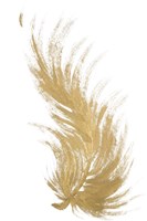 Framed Gold Feather II