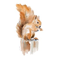 Framed Watercolor Squirrel