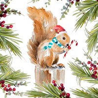 Framed 'Holiday Squirrel' border=