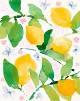 Framed Garden Lemons