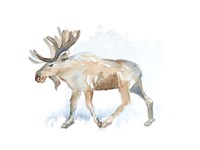 Framed Watercolor Moose