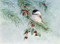 Framed Gray-Headed Chickadee On Holly