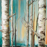 Framed 'Birch Forest II' border=