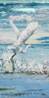 Framed Great Blue Egret I